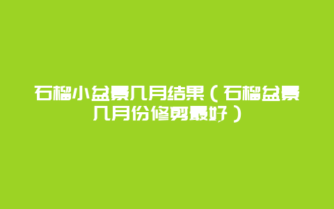 石榴小盆景几月结果（石榴盆景几月份修剪最好）