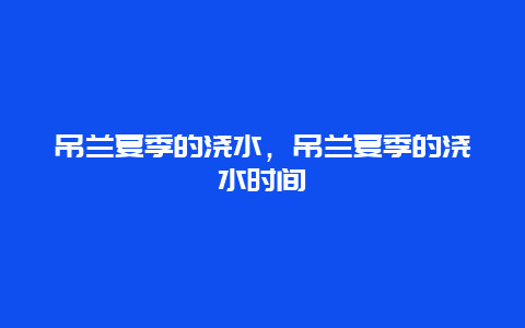 吊兰夏季的浇水，吊兰夏季的浇水时间