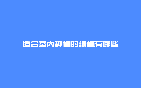 适合室内种植的绿植有哪些