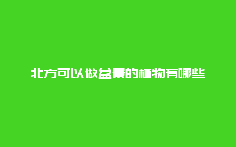 北方可以做盆景的植物有哪些