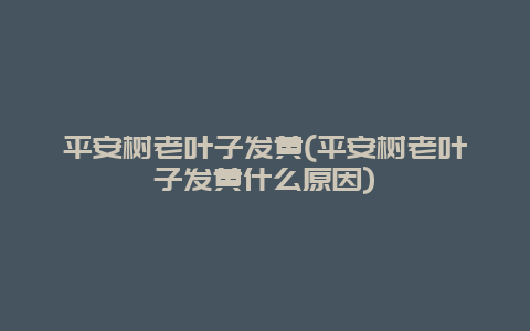 平安树老叶子发黄(平安树老叶子发黄什么原因)