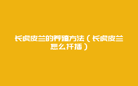 长虎皮兰的养殖方法（长虎皮兰怎么扦插）