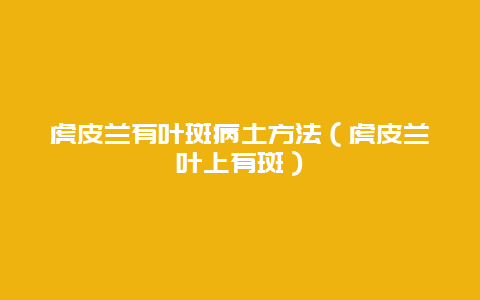 虎皮兰有叶斑病土方法（虎皮兰叶上有斑）