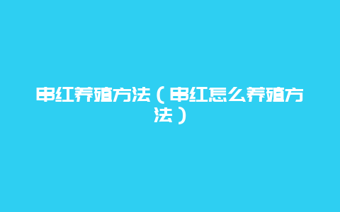 串红养殖方法（串红怎么养殖方法）