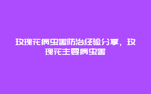 玫瑰花病虫害防治经验分享，玫瑰花主要病虫害