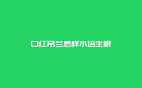 口红吊兰怎样水培生根