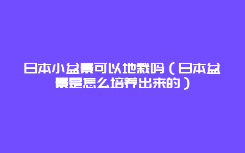 日本小盆景可以地栽吗（日本盆景是怎么培养出来的）