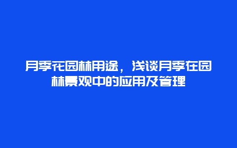 月季花园林用途，浅谈月季在园林景观中的应用及管理