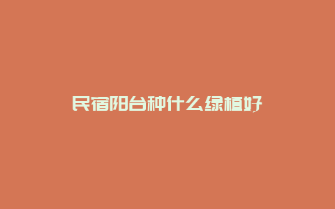 民宿阳台种什么绿植好