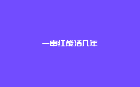 一串红能活几年