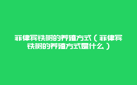 菲律宾铁树的养殖方式（菲律宾铁树的养殖方式是什么）