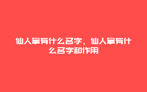 仙人掌有什么名字，仙人掌有什么名字和作用