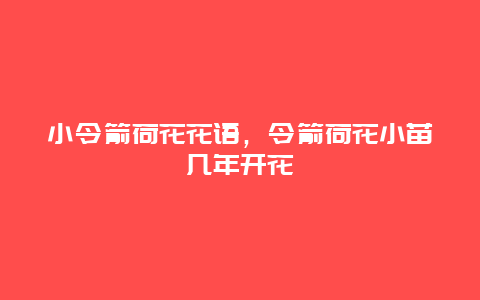 小令箭荷花花语，令箭荷花小苗几年开花