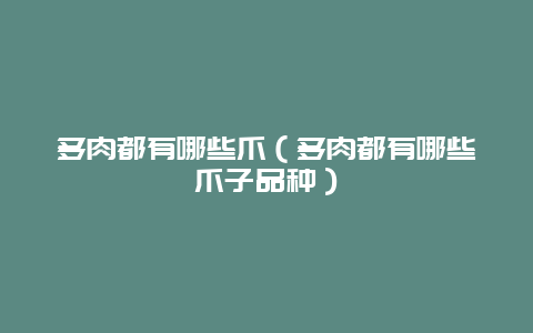 多肉都有哪些爪（多肉都有哪些爪子品种）