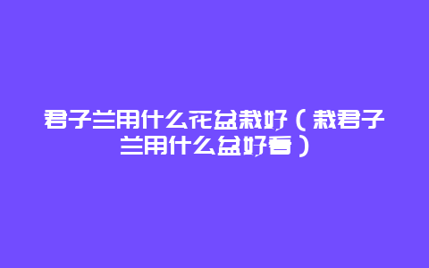 君子兰用什么花盆栽好（栽君子兰用什么盆好看）