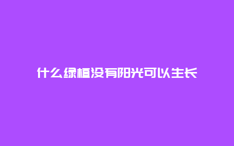 什么绿植没有阳光可以生长