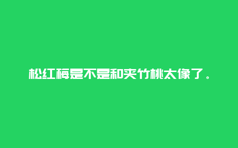 松红梅是不是和夹竹桃太像了。