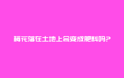 梅花落在土地上会变成肥料吗?