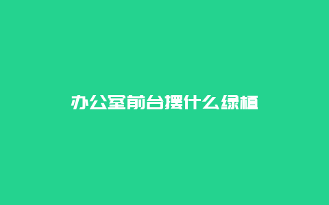 办公室前台摆什么绿植