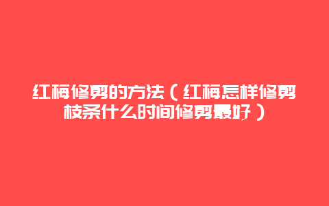 红梅修剪的方法（红梅怎样修剪枝条什么时间修剪最好）