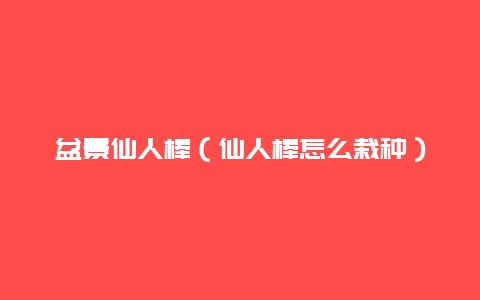 盆景仙人棒（仙人棒怎么栽种）