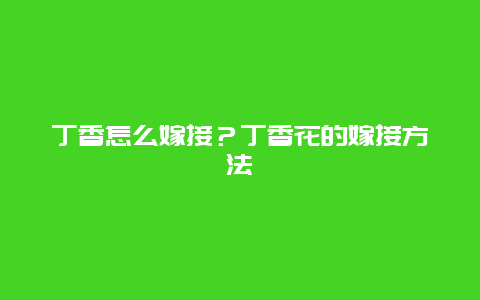 丁香怎么嫁接？丁香花的嫁接方法