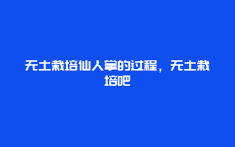 无土栽培仙人掌的过程，无土栽培吧