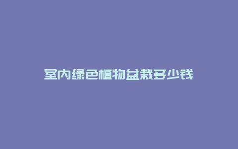 室内绿色植物盆栽多少钱