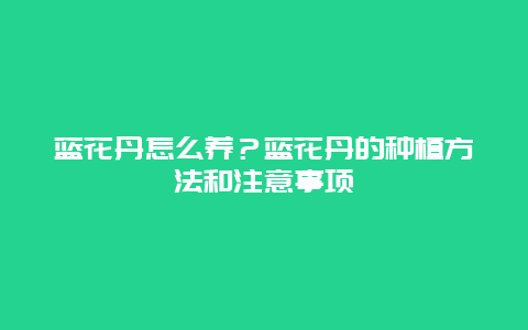 蓝花丹怎么养？蓝花丹的种植方法和注意事项