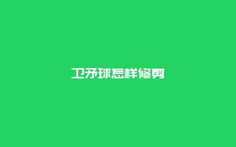 卫矛球怎样修剪