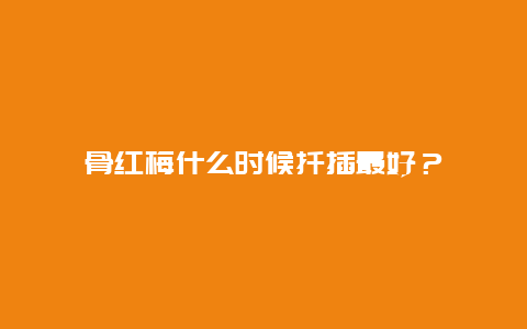 骨红梅什么时候扦插最好？