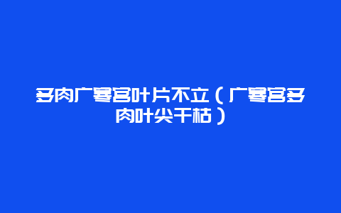 多肉广寒宫叶片不立（广寒宫多肉叶尖干枯）