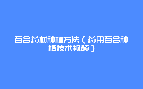 百合药材种植方法（药用百合种植技术视频）