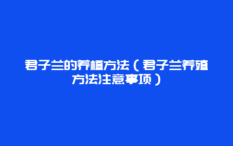 君子兰的养植方法（君子兰养殖方法注意事项）