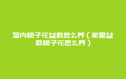 室内栀子花盆栽怎么养（家里盆栽栀子花怎么养）