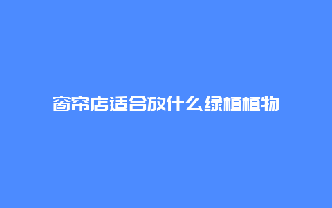 窗帘店适合放什么绿植植物