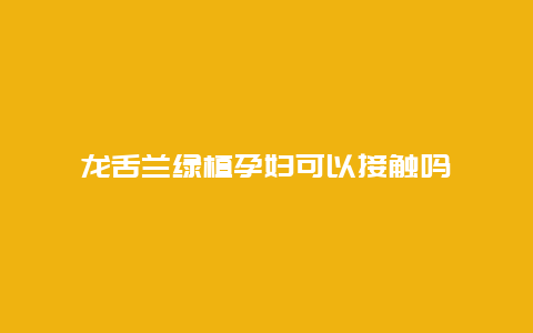 龙舌兰绿植孕妇可以接触吗