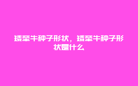 矮牵牛种子形状，矮牵牛种子形状是什么