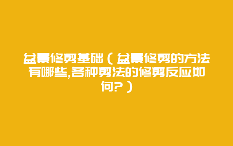 盆景修剪基础（盆景修剪的方法有哪些,各种剪法的修剪反应如何?）