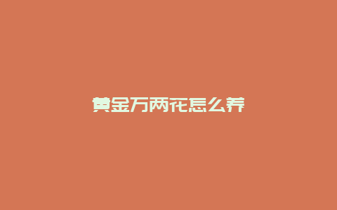 黄金万两花怎么养