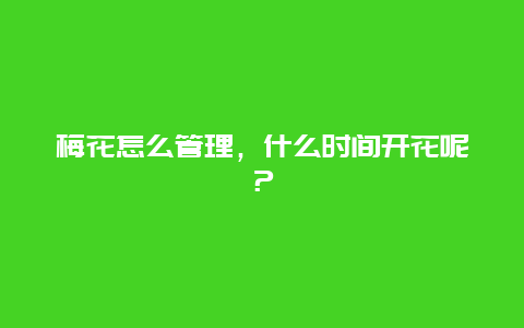 梅花怎么管理，什么时间开花呢？