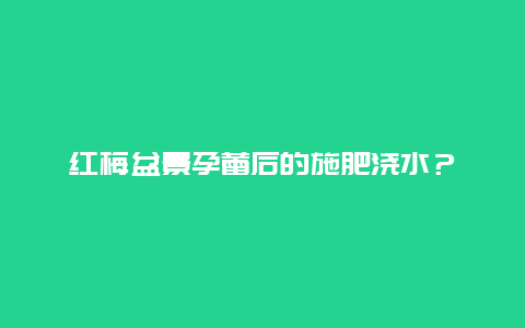 红梅盆景孕蕾后的施肥浇水？