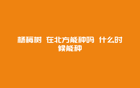 杨梅树 在北方能种吗 什么时候能种