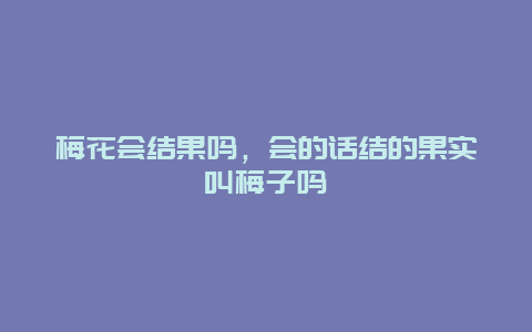 梅花会结果吗，会的话结的果实叫梅子吗