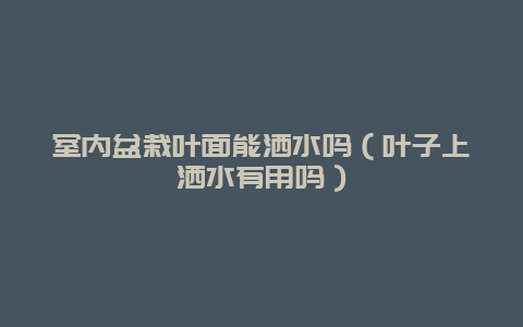 室内盆栽叶面能洒水吗（叶子上洒水有用吗）