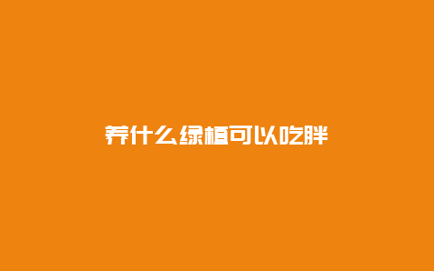 养什么绿植可以吃胖