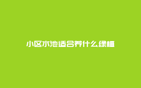 小区水池适合养什么绿植