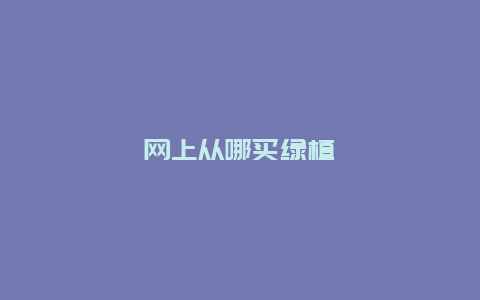 网上从哪买绿植