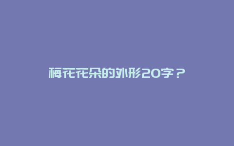 梅花花朵的外形20字？