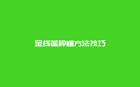 金线莲种植方法技巧